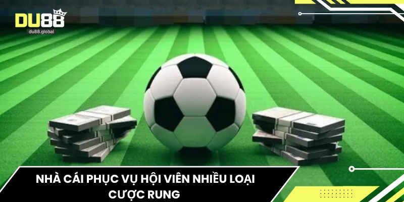 Nhà cái phục vụ hội viên nhiều loại cược rung